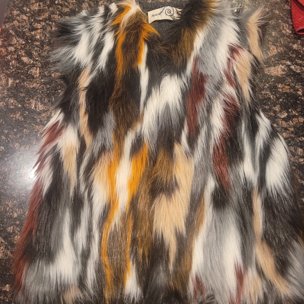 Multicolor Faux Fur Vest